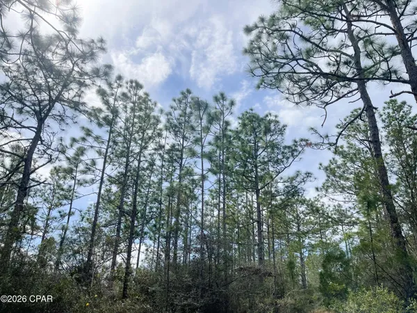 $138,000 | 3340 Varsey Lane, Marianna, FL 32448