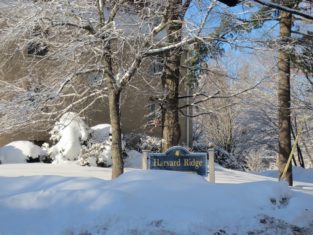 232 Swanson Road, Unit 629 Boxborough, MA 01719 - Photo 23 of 26