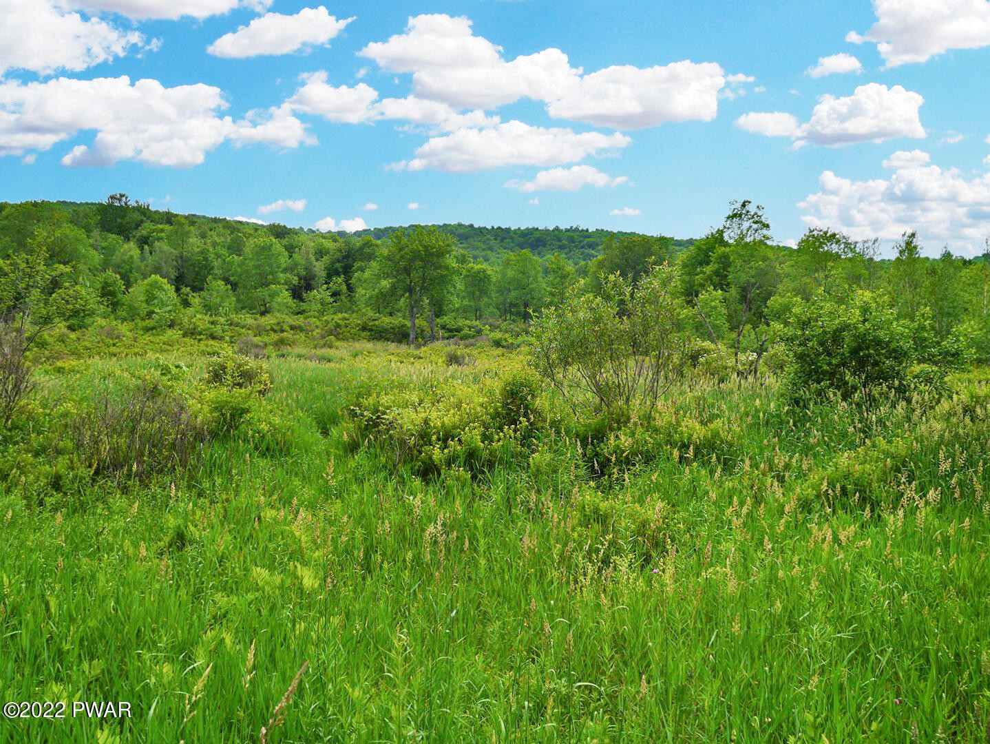 Beaver Hollow Road Starrucca, PA 18462 - Photo 10 of 15