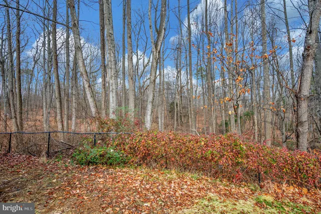 $315,000 | 8445 James Monroe Highway, Culpeper, VA 22701