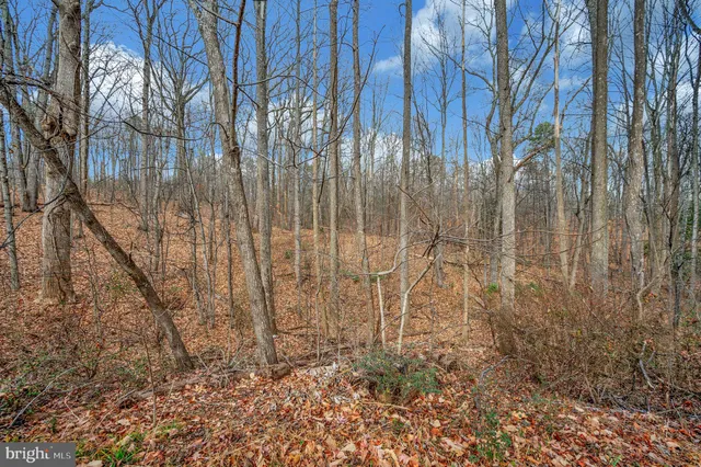 $315,000 | 8445 James Monroe Highway, Culpeper, VA 22701