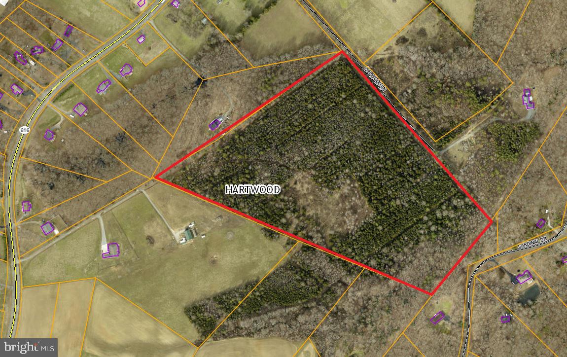 Poplar Road Fredericksburg, VA 22406 - Photo 1 of 3 35 acres Mostly Treed