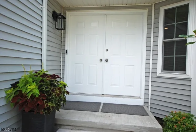a potted plant sitting in front of a door
