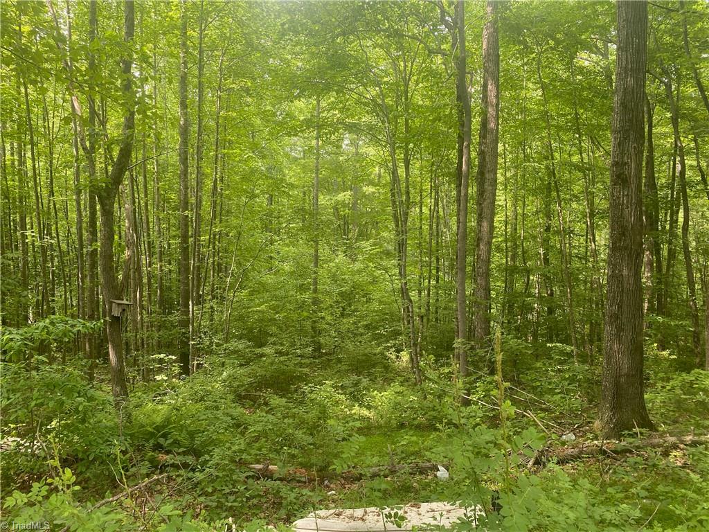 882 Homeplace Road Ararat, VA 24053 - Photo 11 of 16 Gallery Image 11