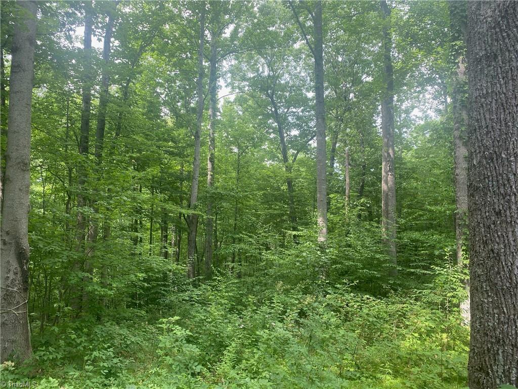 882 Homeplace Road Ararat, VA 24053 - Photo 12 of 16 Gallery Image 12