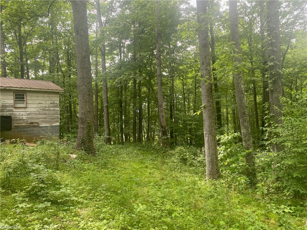 882 Homeplace Road Ararat, VA 24053 - Photo 13 of 16 Gallery Image 13