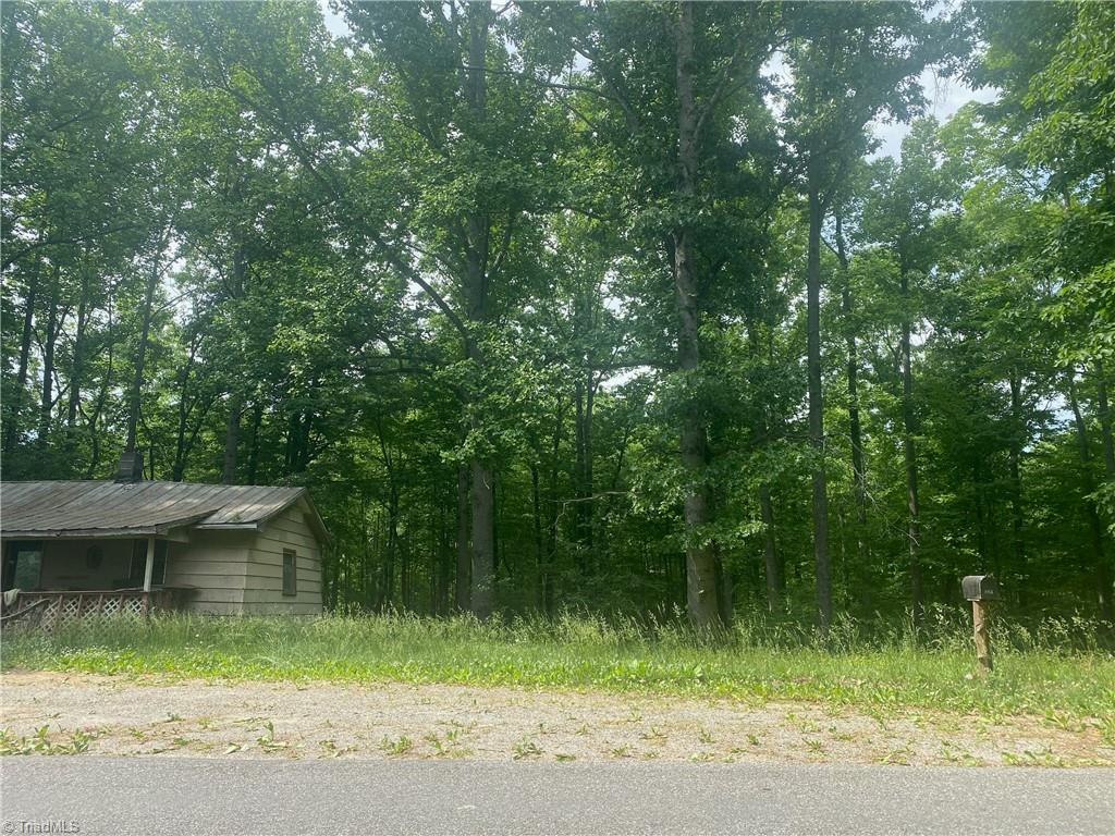 882 Homeplace Road Ararat, VA 24053 - Photo 15 of 16 Gallery Image 15