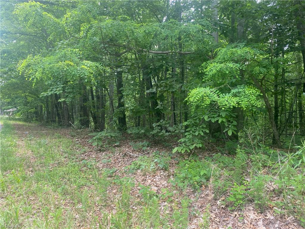 882 Homeplace Road Ararat, VA 24053 - Photo 3 of 16 Gallery Image 3