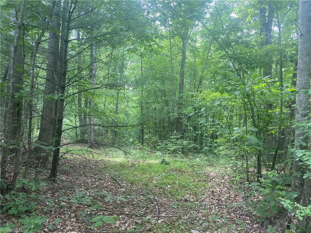 882 Homeplace Road Ararat, VA 24053 - Photo 4 of 16 Gallery Image 4