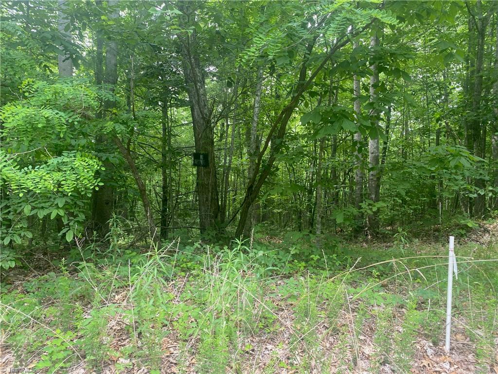 882 Homeplace Road Ararat, VA 24053 - Photo 5 of 16 Gallery Image 5