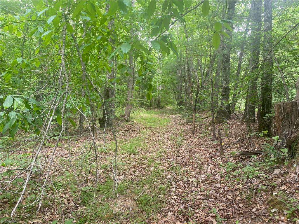 882 Homeplace Road Ararat, VA 24053 - Photo 6 of 16 Gallery Image 6