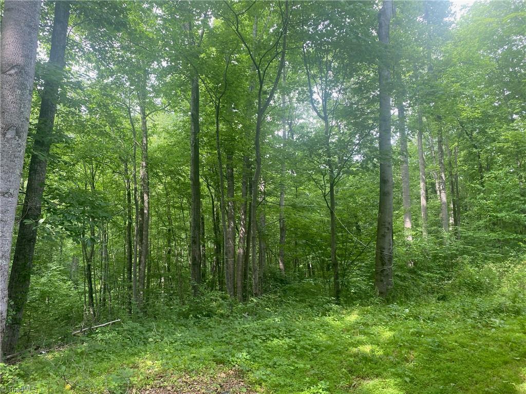 882 Homeplace Road Ararat, VA 24053 - Photo 7 of 16 Gallery Image 7