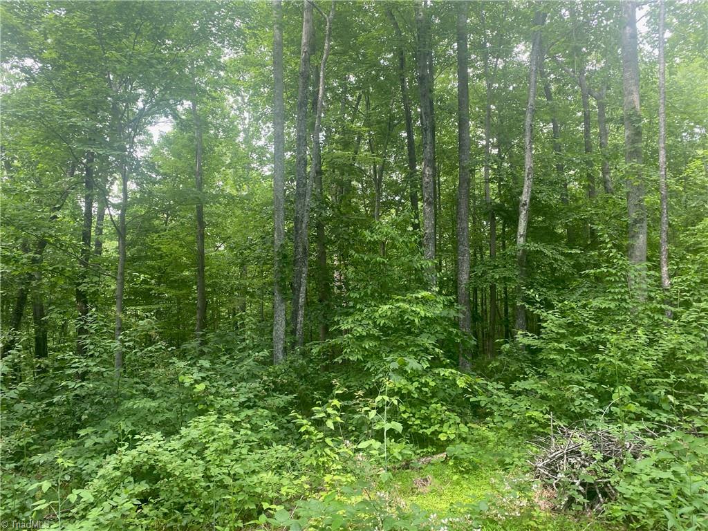 882 Homeplace Road Ararat, VA 24053 - Photo 9 of 16 Gallery Image 9