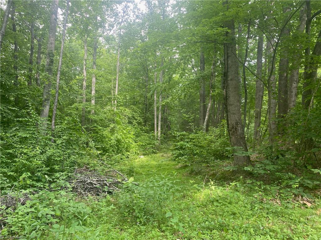 882 Homeplace Road Ararat, VA 24053 - Photo 10 of 16 Gallery Image 10