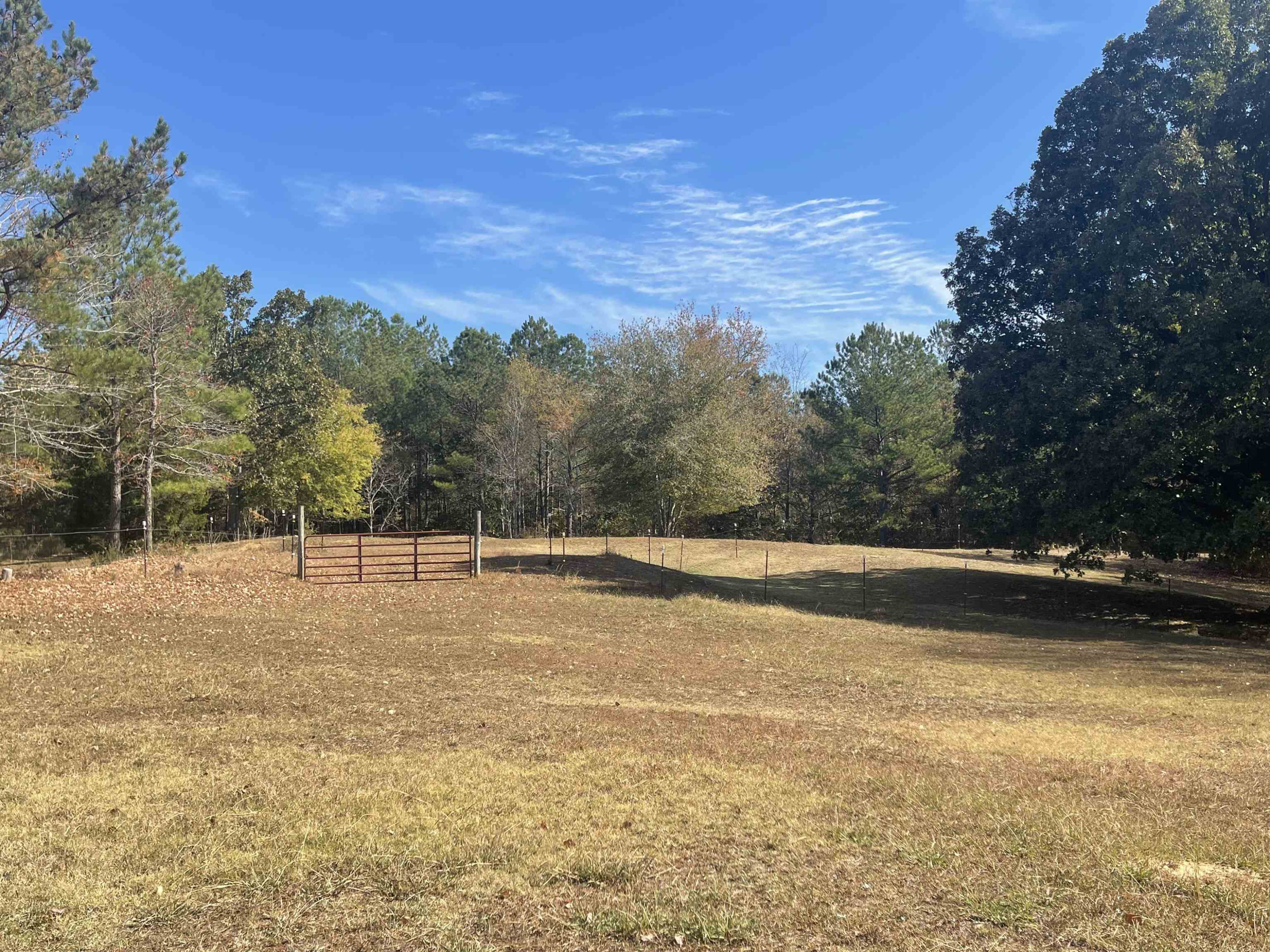 1201 Bullman Road Finger, TN 38334 - Photo 41 of 48 Photo 41