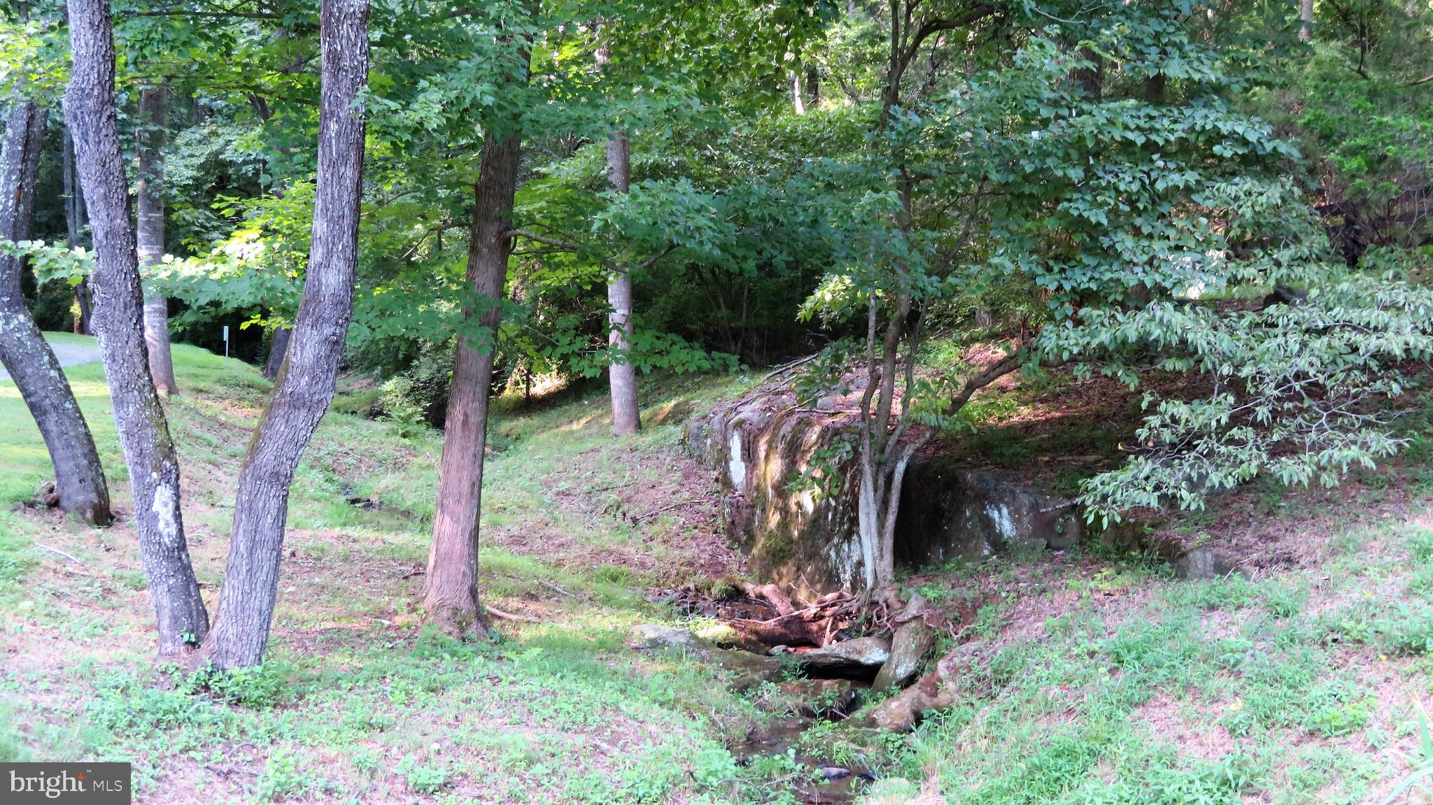 135 Sharp Rock Road Sperryville, VA 22740 - Photo 11 of 58 Small Stream