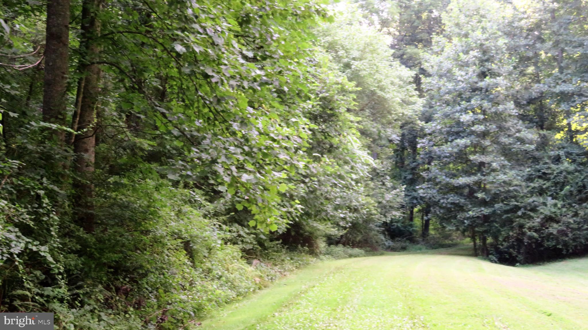 135 Sharp Rock Road Sperryville, VA 22740 - Photo 12 of 58 Trail to upper ridge