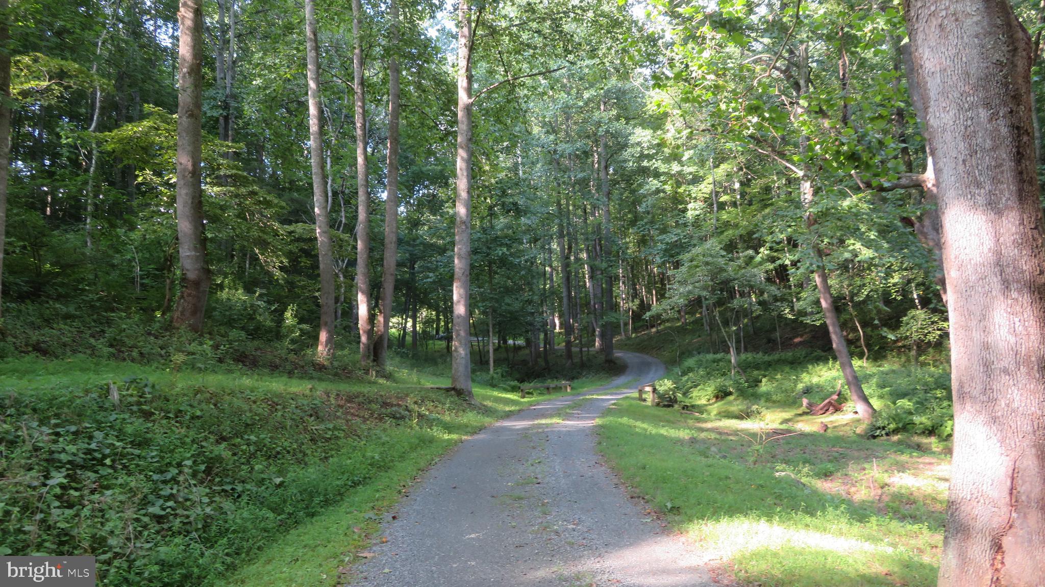 135 Sharp Rock Road Sperryville, VA 22740 - Photo 14 of 58 Driveway from barn to house