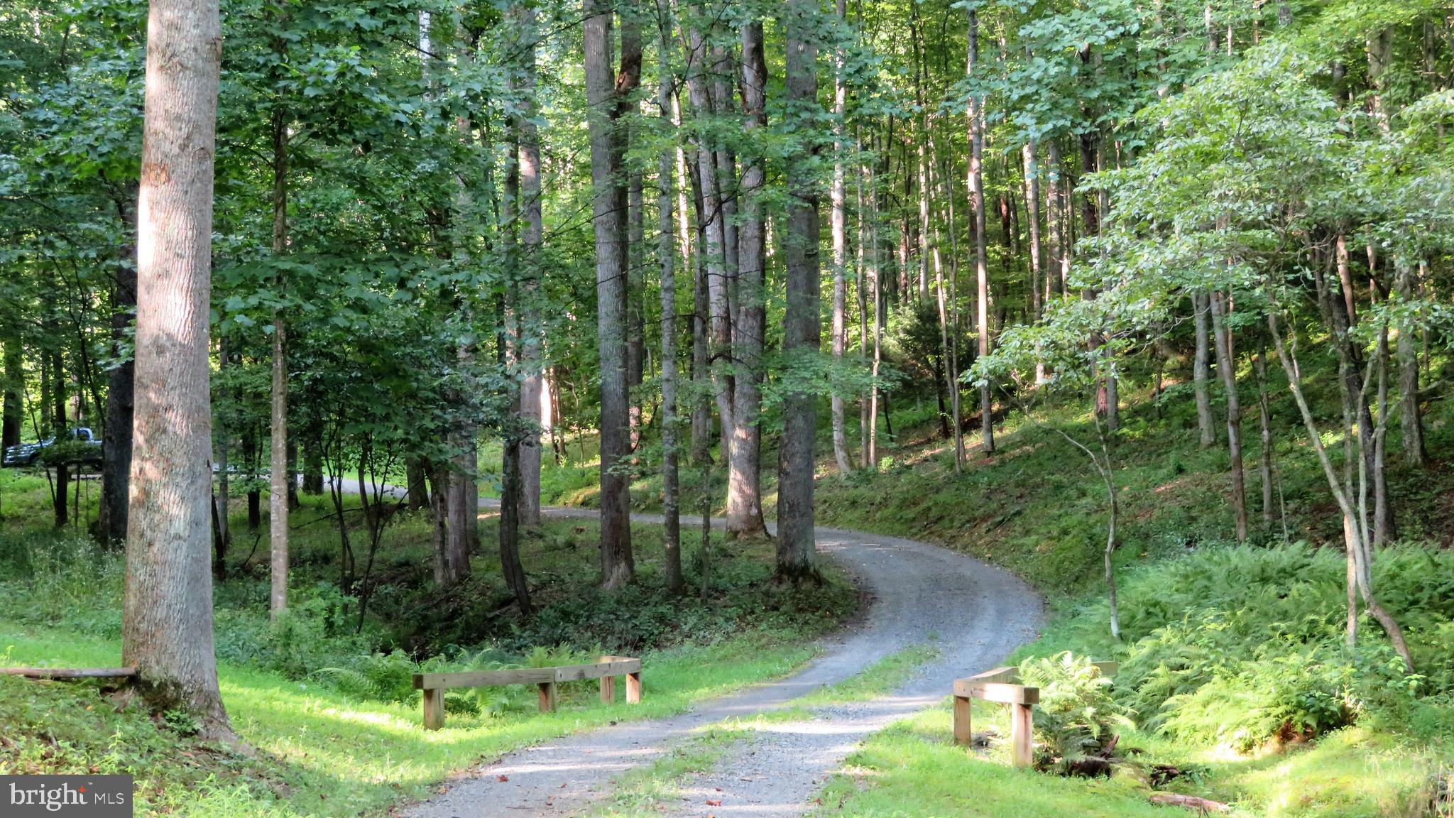 135 Sharp Rock Road Sperryville, VA 22740 - Photo 15 of 58 Drive to house