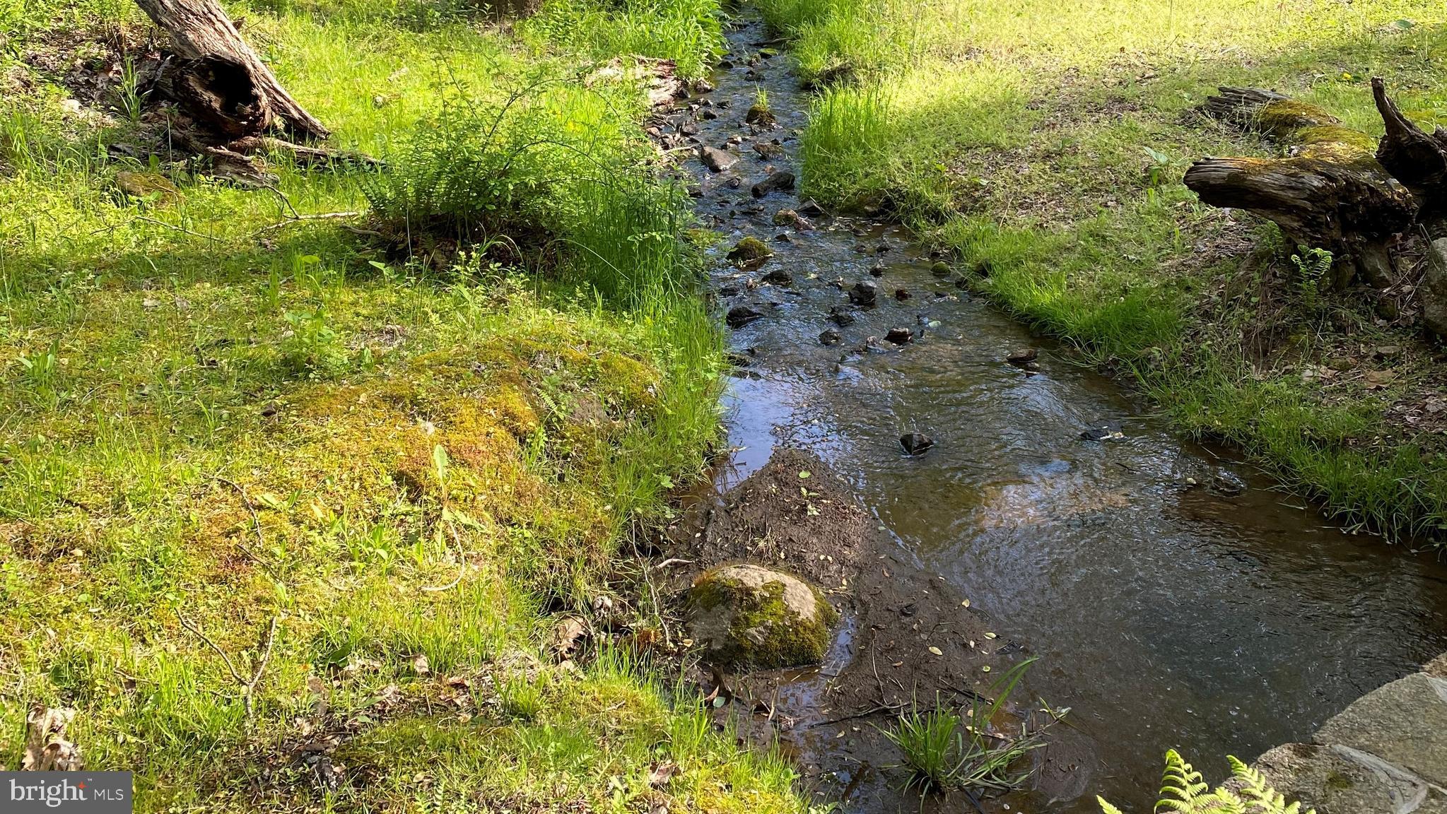 135 Sharp Rock Road Sperryville, VA 22740 - Photo 16 of 58 One of several bold streams