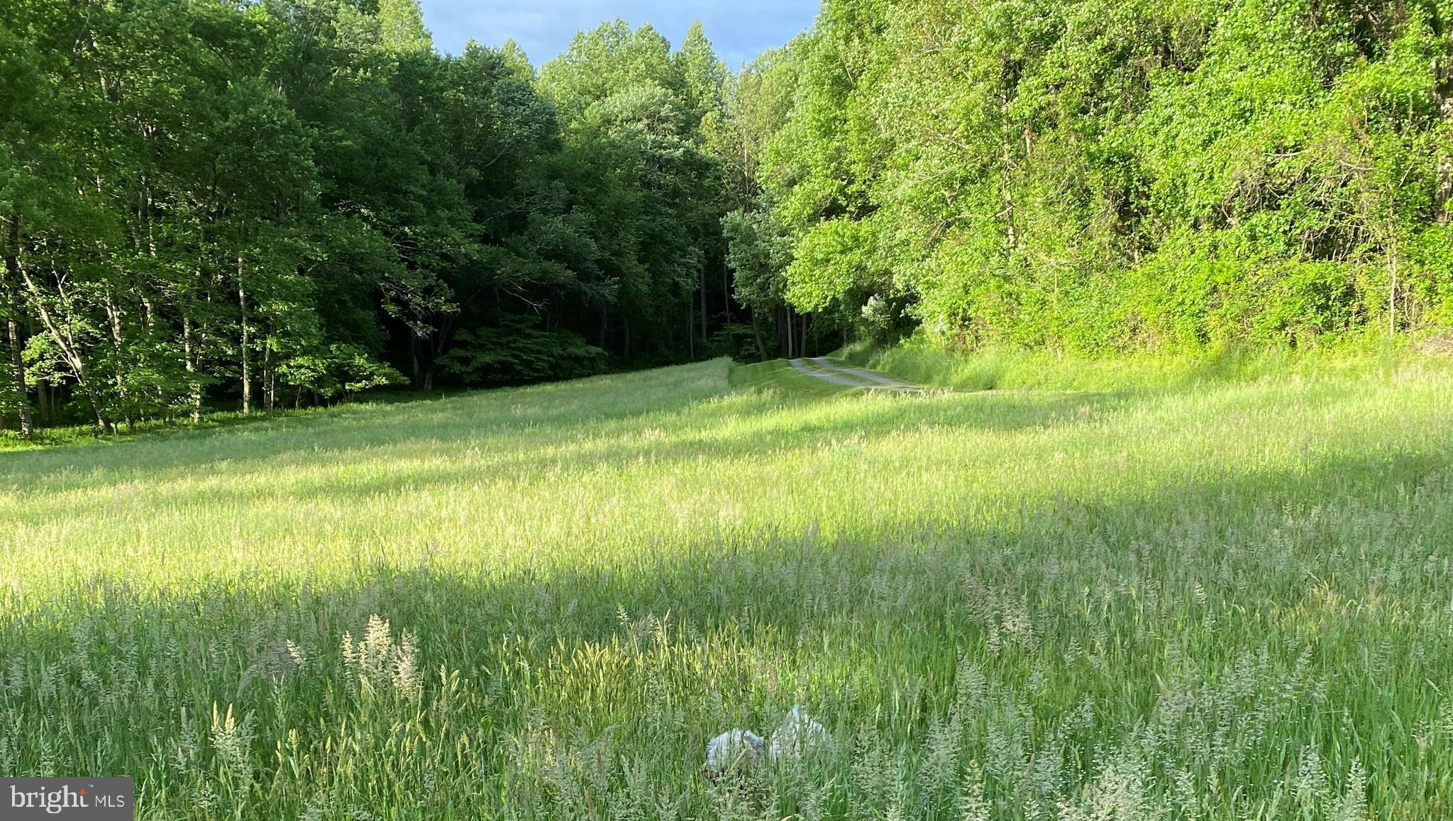 135 Sharp Rock Road Sperryville, VA 22740 - Photo 17 of 58 Meadow near Barn