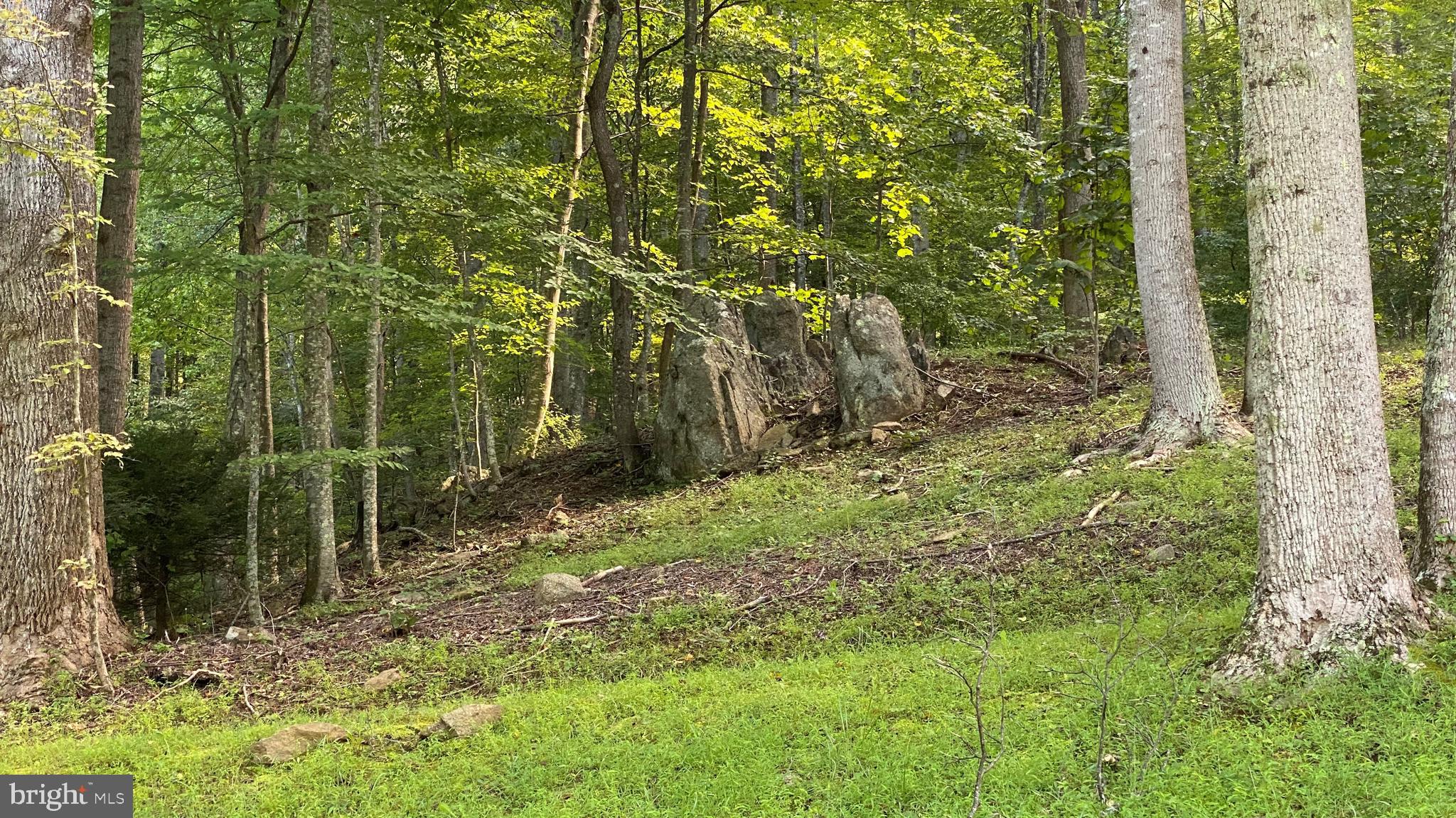 135 Sharp Rock Road Sperryville, VA 22740 - Photo 20 of 58 Rock outcroppings near trailheads