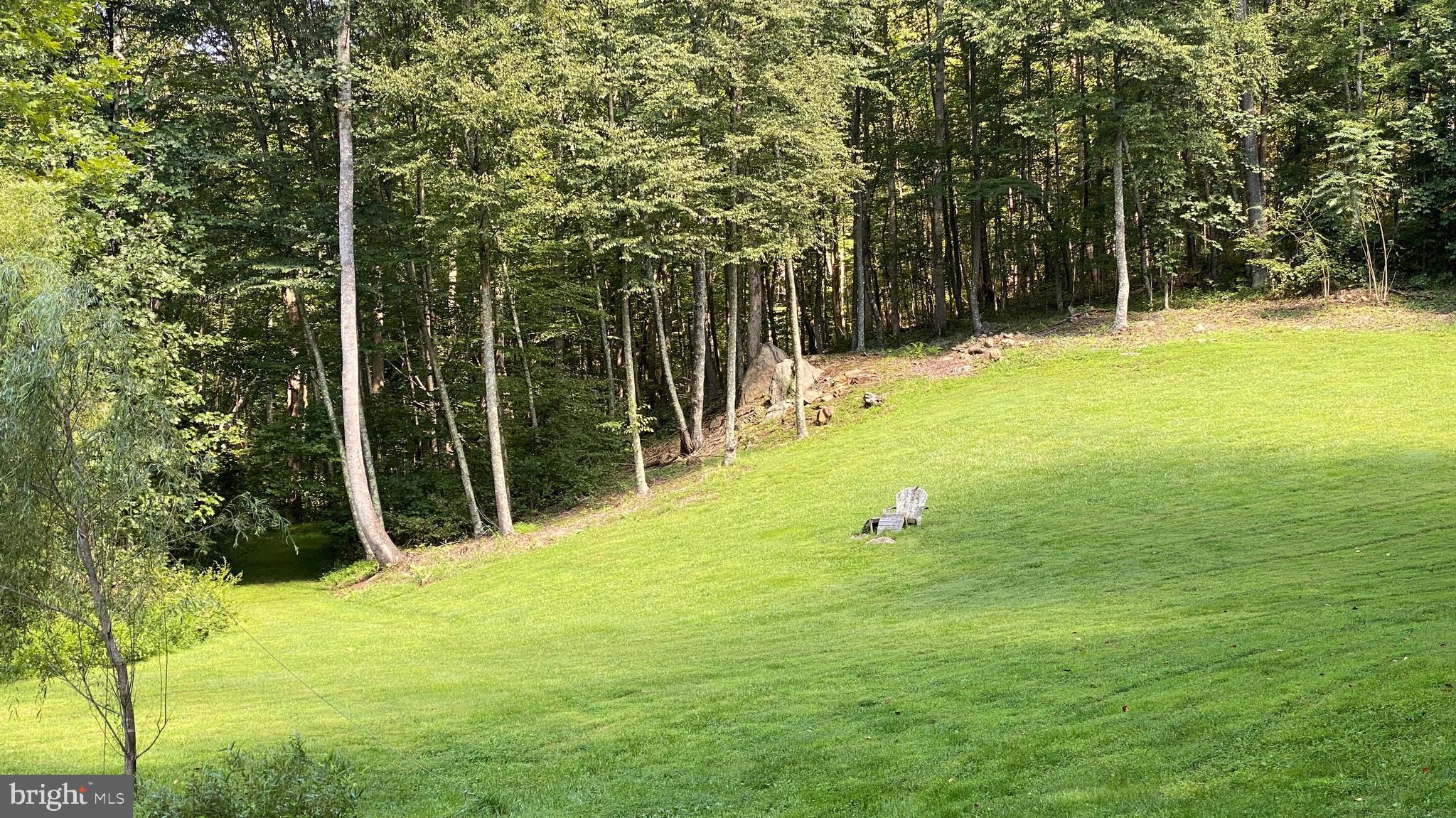 135 Sharp Rock Road Sperryville, VA 22740 - Photo 21 of 58 Lawn between two trailheads