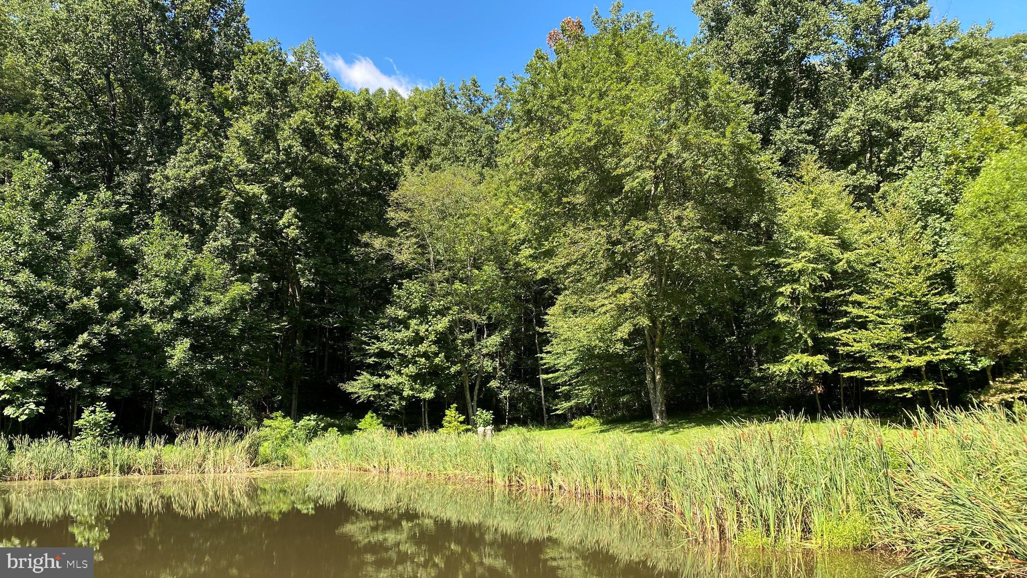 135 Sharp Rock Road Sperryville, VA 22740 - Photo 22 of 58 Pond view