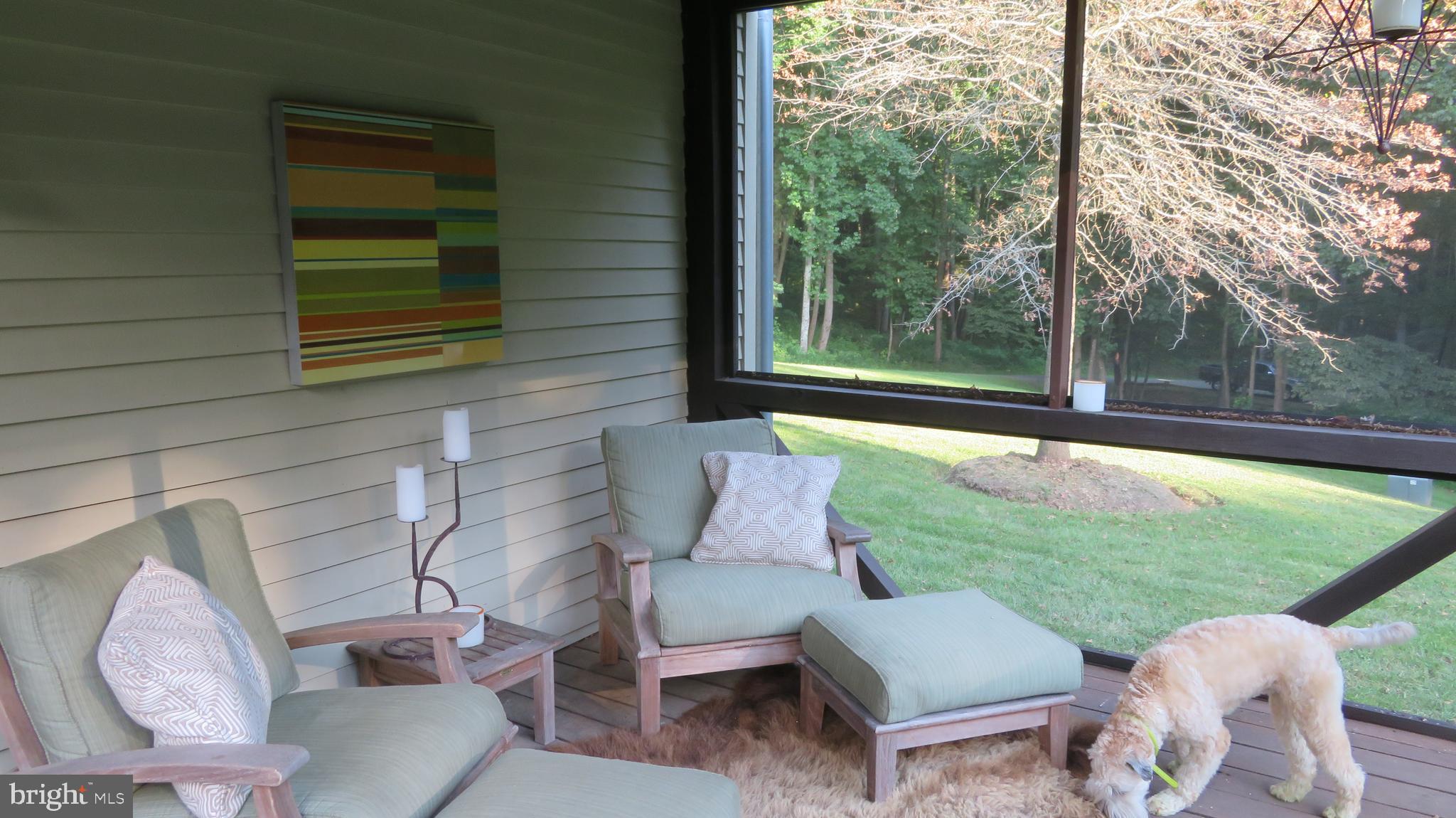 135 Sharp Rock Road Sperryville, VA 22740 - Photo 43 of 58 Small Screened Porch