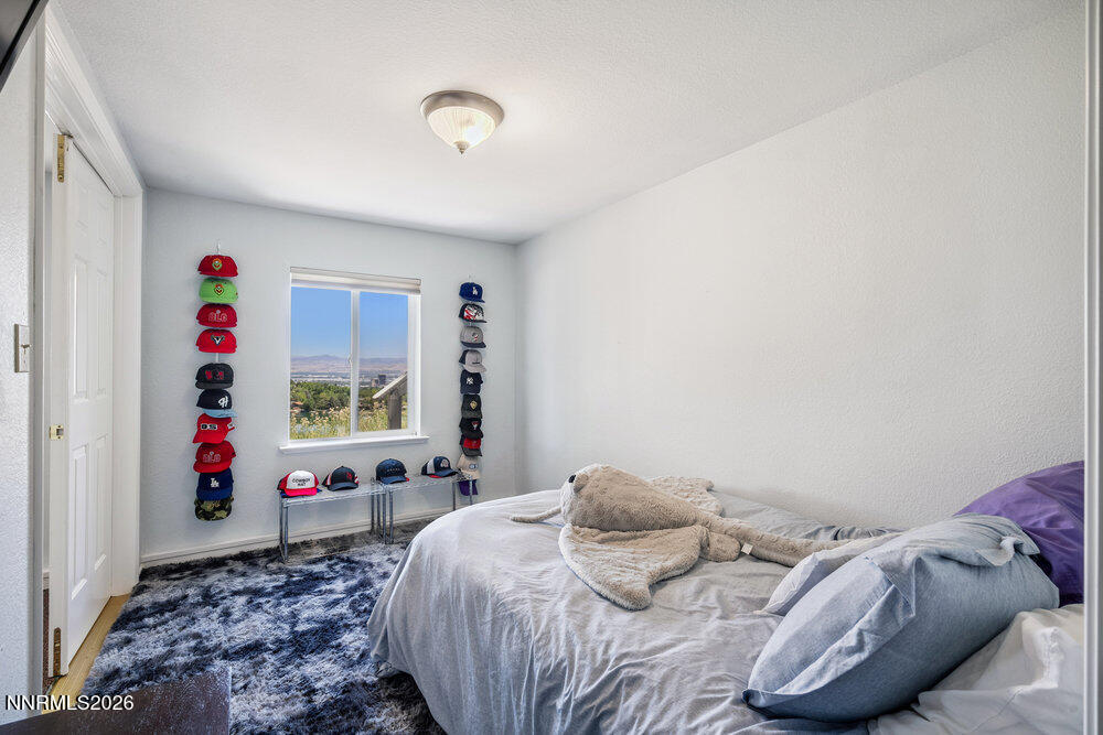 2919 Mountain Springs Road Reno, NV 89519 - Photo 76 of 80 042_dsc09462_222