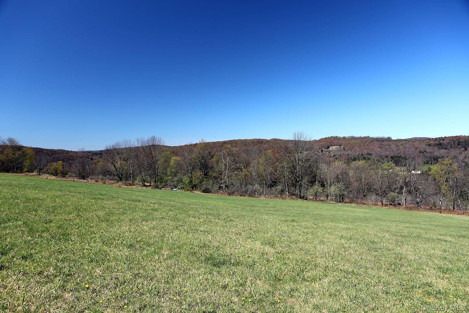 Hubert Road Jeffersonville, NY 12748 - Photo 2 of 19 a view of grassy field with mountain