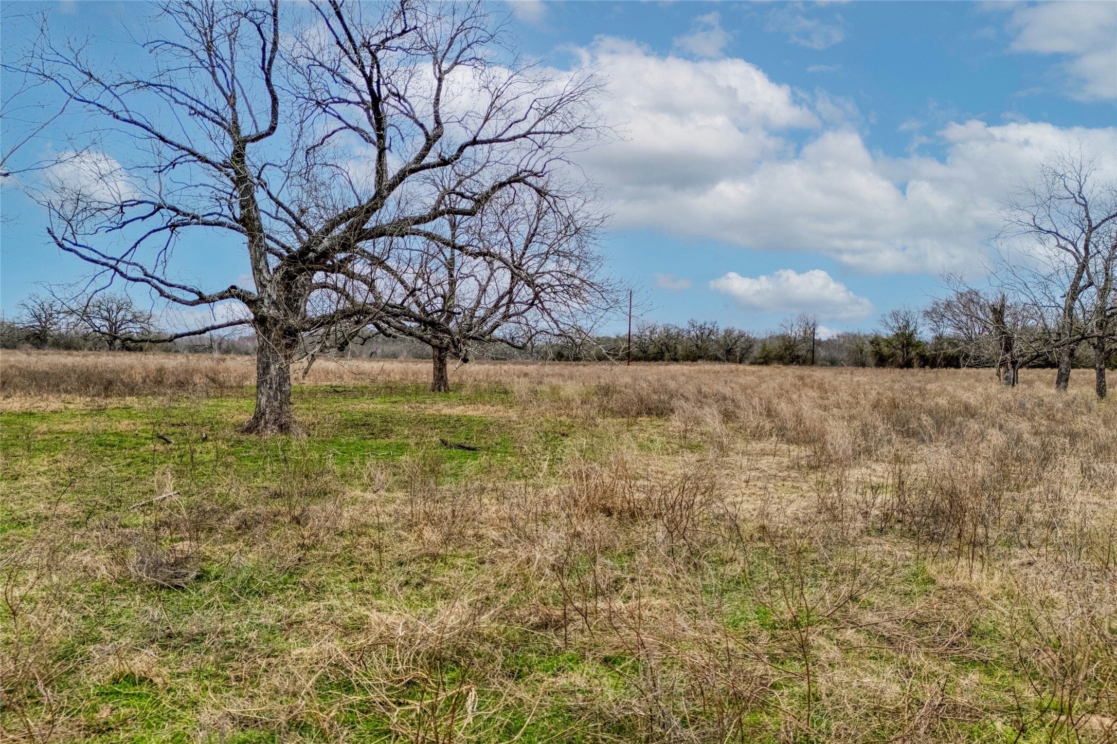 103 Robin Lane Luling, TX 78648 - Photo 31 of 40