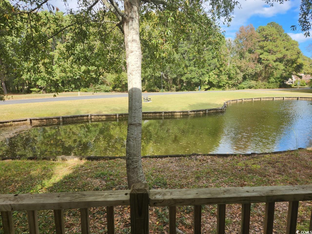 33 Golf View Court, Unit RIVER CLUB Pawleys Island, SC 29585 - Photo 13 of 14