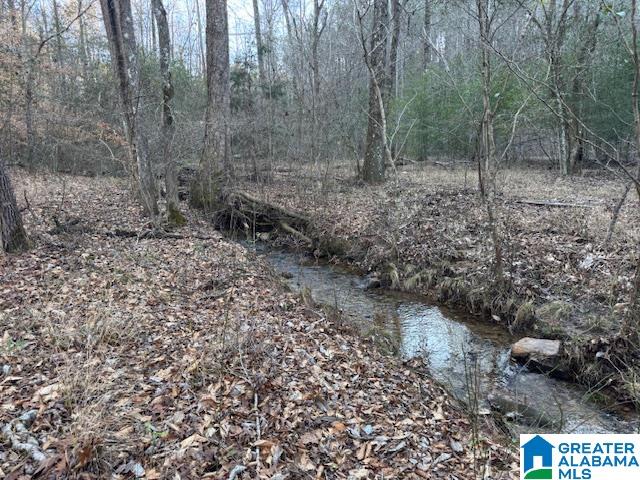 170 Valley Grove Road, Unit 45 AC Cragford, AL 36255 - Photo 1 of 19