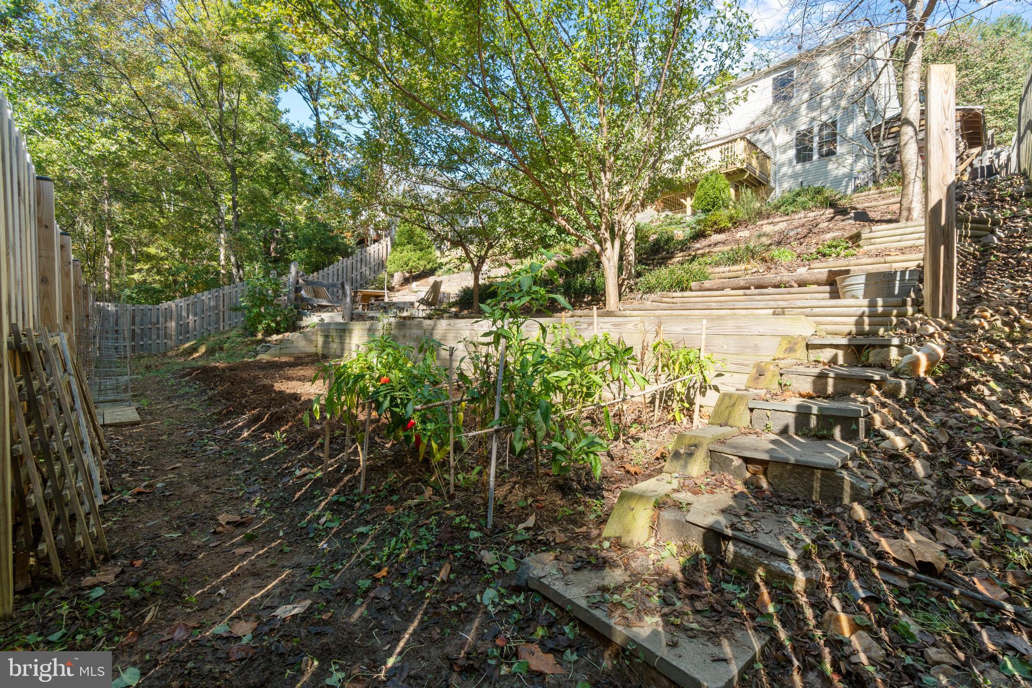 8539 Innisfree Drive Springfield, VA 22153 - Photo 35 of 35 Gallery Image 35