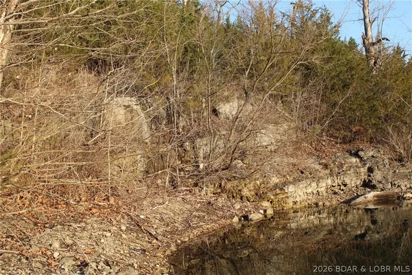 $22,500 | Lot 46 Lightfoot Lane, Rocky Mount, MO 65072