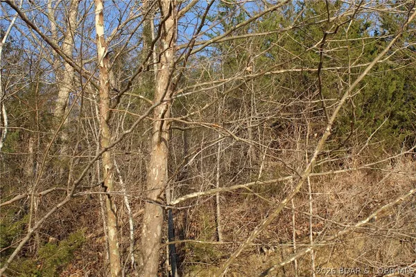 $22,500 | Lot 46 Lightfoot Lane, Rocky Mount, MO 65072
