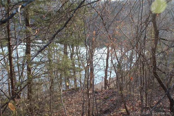 $22,500 | Lot 46 Lightfoot Lane, Rocky Mount, MO 65072