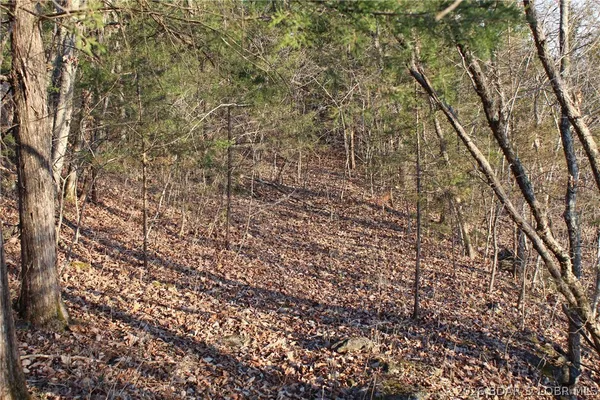 $22,500 | Lot 46 Lightfoot Lane, Rocky Mount, MO 65072