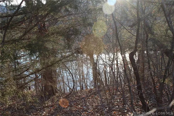 $22,500 | Lot 46 Lightfoot Lane, Rocky Mount, MO 65072