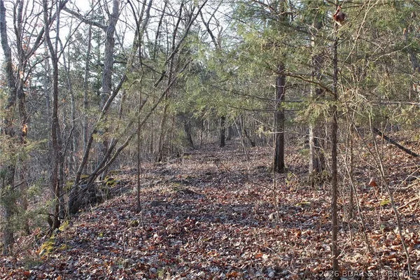 $22,500 | Lot 46 Lightfoot Lane, Rocky Mount, MO 65072