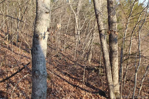 $22,500 | Lot 46 Lightfoot Lane, Rocky Mount, MO 65072