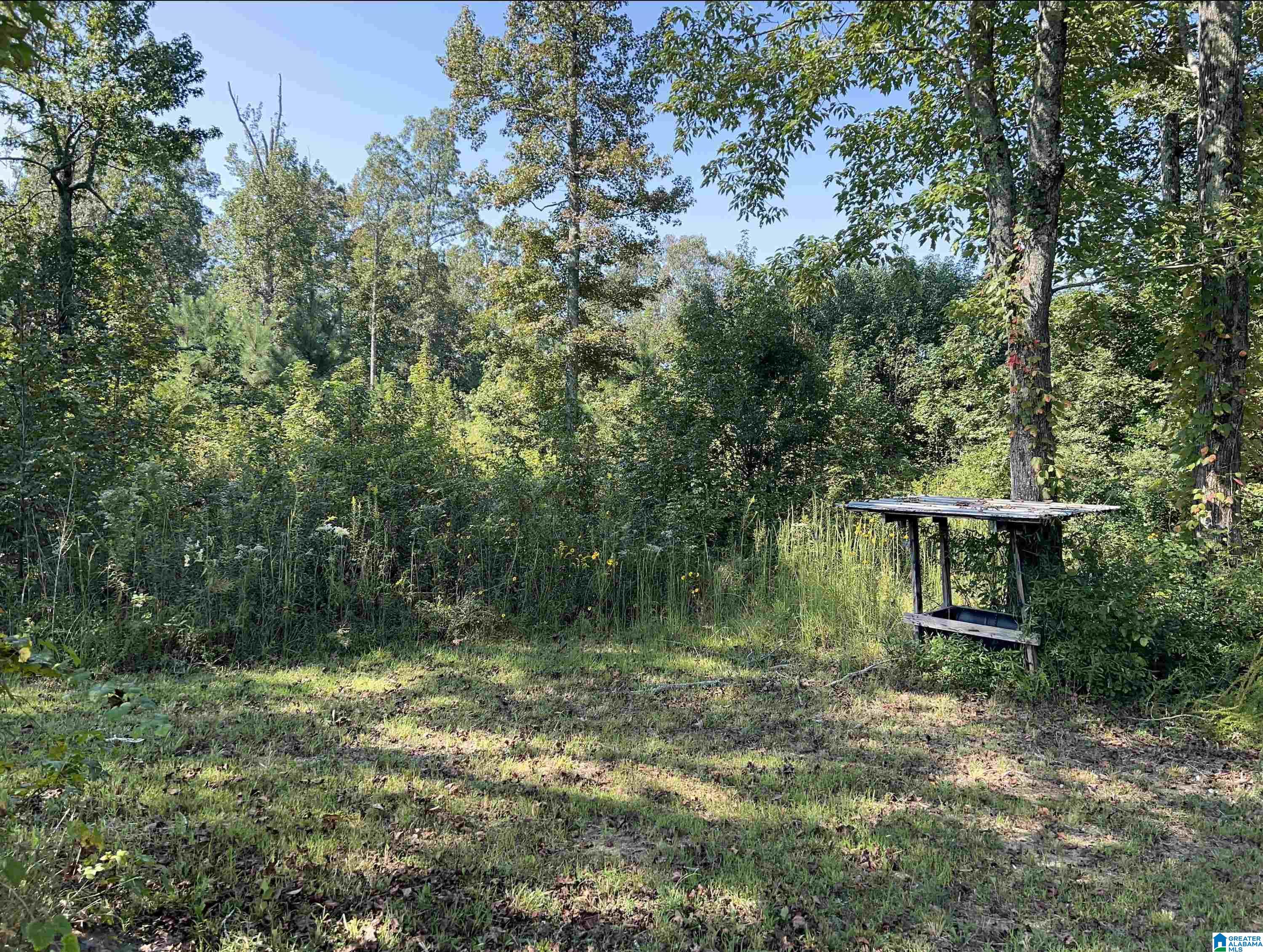 675 Parr Road Gadsden, AL 35904 - Photo 12 of 15