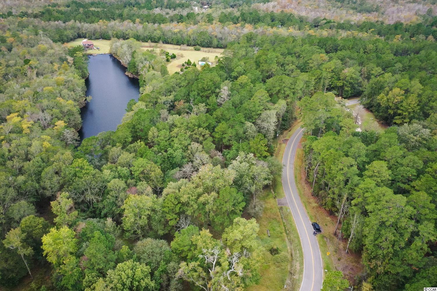 Tbd Rowe Pond Road Conway, SC 29526 - Photo 19 of 21 Gallery Image 19