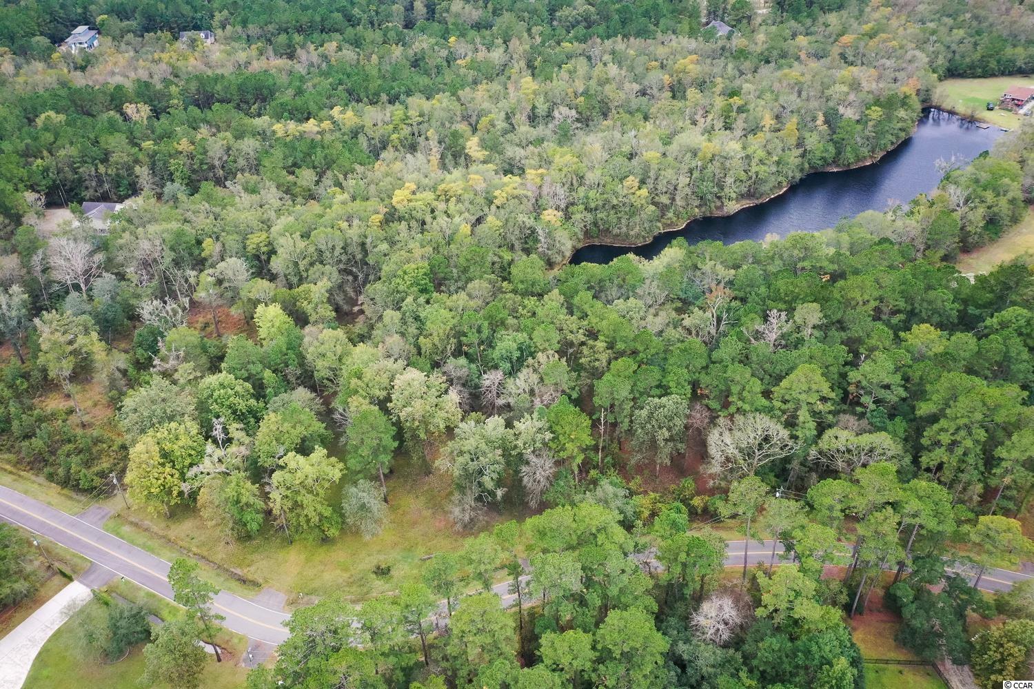 Tbd Rowe Pond Road Conway, SC 29526 - Photo 20 of 21 Gallery Image 20