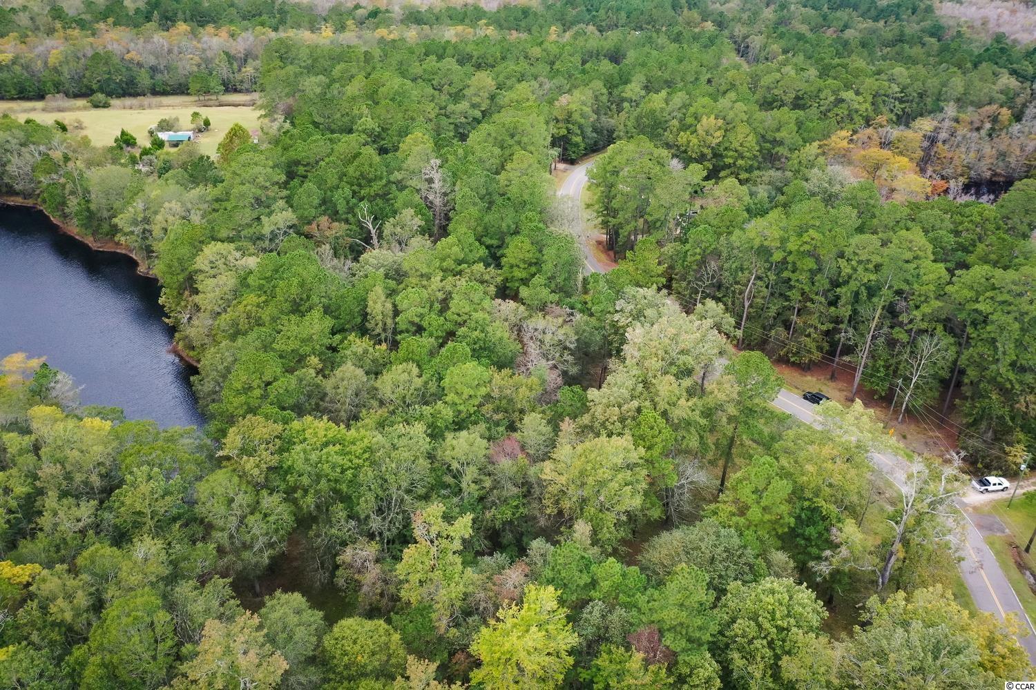 Tbd Rowe Pond Road Conway, SC 29526 - Photo 2 of 21 Gallery Image 2