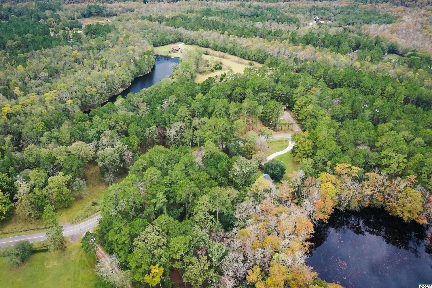 Tbd Rowe Pond Road Conway, SC 29526 - Photo 4 of 21 Gallery Image 4