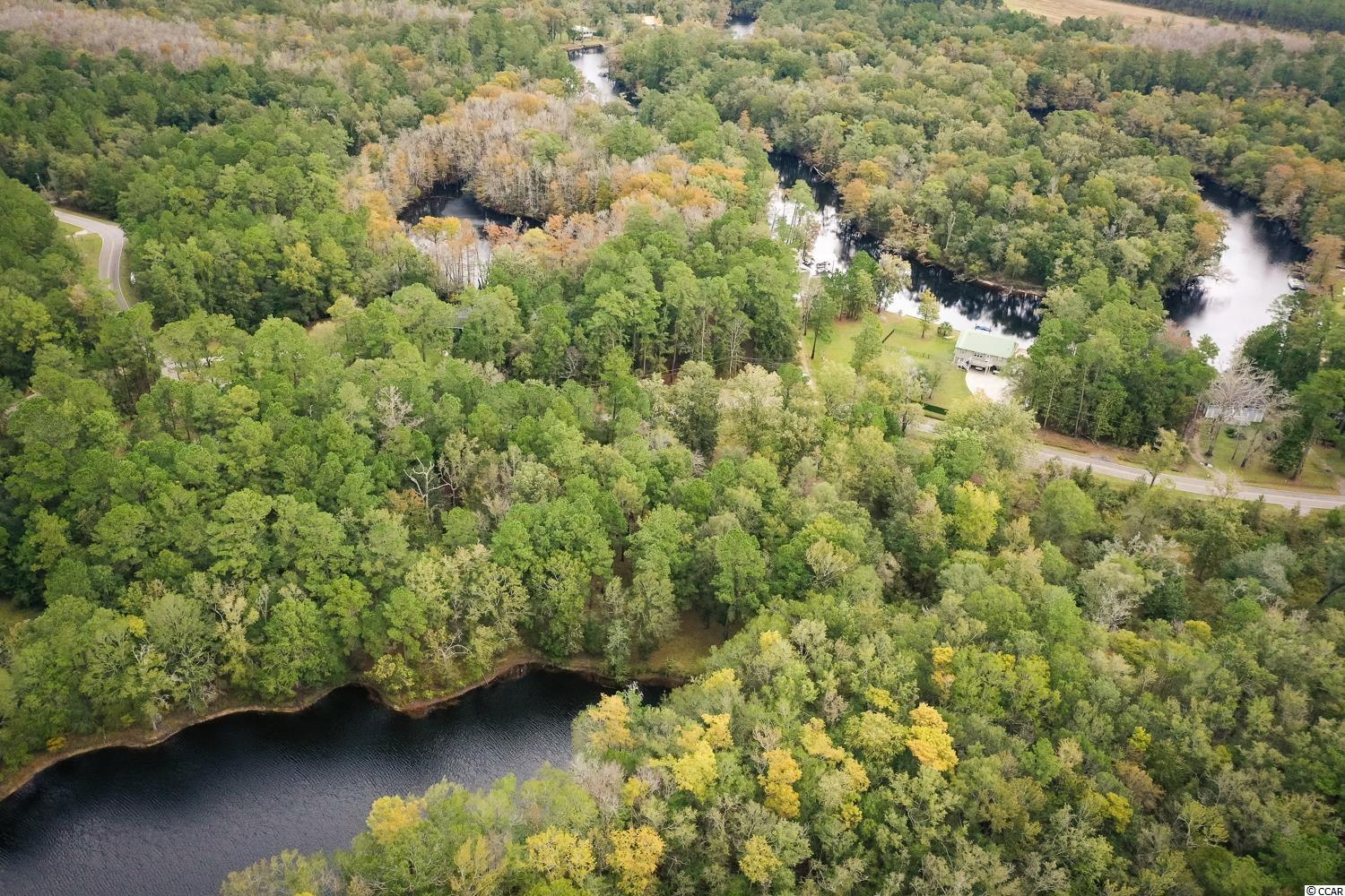 Tbd Rowe Pond Road Conway, SC 29526 - Photo 7 of 21 Gallery Image 7