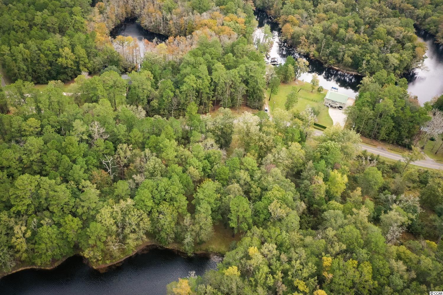 Tbd Rowe Pond Road Conway, SC 29526 - Photo 9 of 21 Gallery Image 9