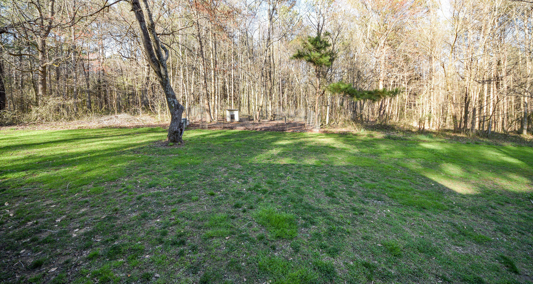 303 Southeast Frazier Road Road Old Fort, TN 37362 - Photo 59 of 65 DSC_5458